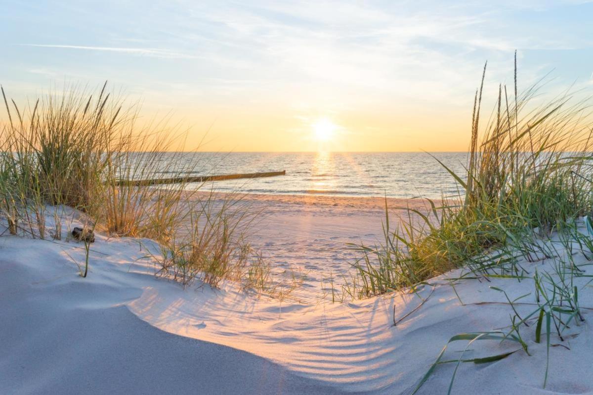 Seesicht * Rostock